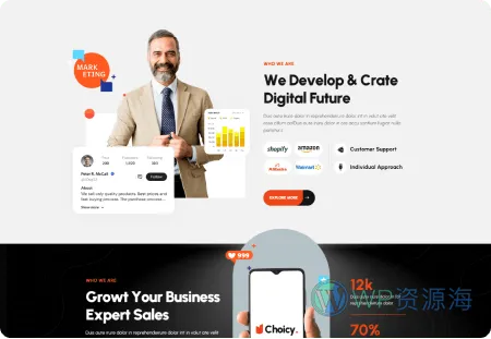 Choicy-网络营销推广网站模板WordPress主题[更至v2.0.0]插图13-WordPress资源海
