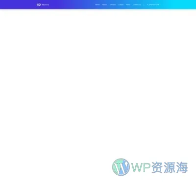 整站模板_网络营销推广公司网站成品模板_一键导入式快速建站模板插图6-WP资源海