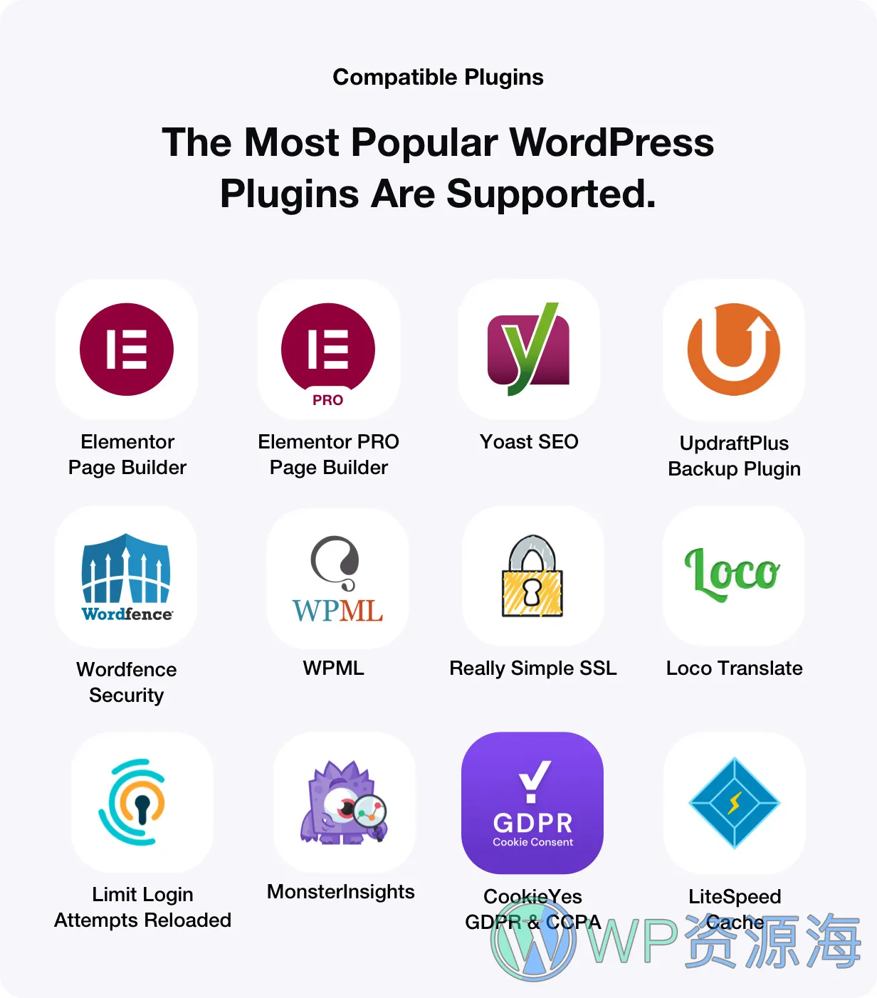 Numérique-网络市场营销SEO优化WordPress主题插图4-WP资源海