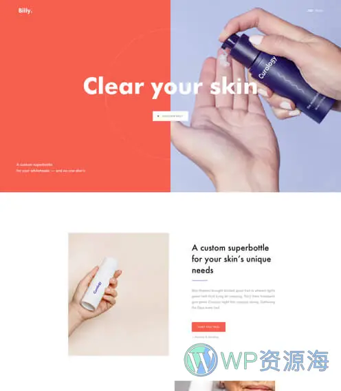 Billey-创意多用途网站模板WordPress主题插图5-WP资源海