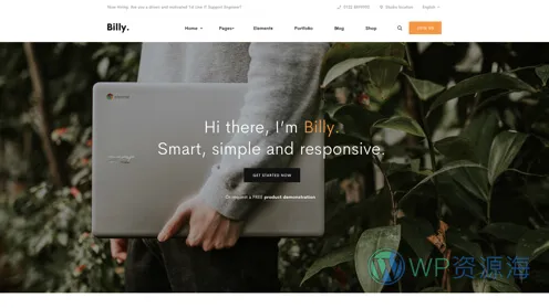 Billey-创意多用途网站模板WordPress主题插图7-WP资源海