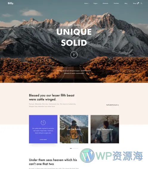 Billey-创意多用途网站模板WordPress主题插图6-WP资源海
