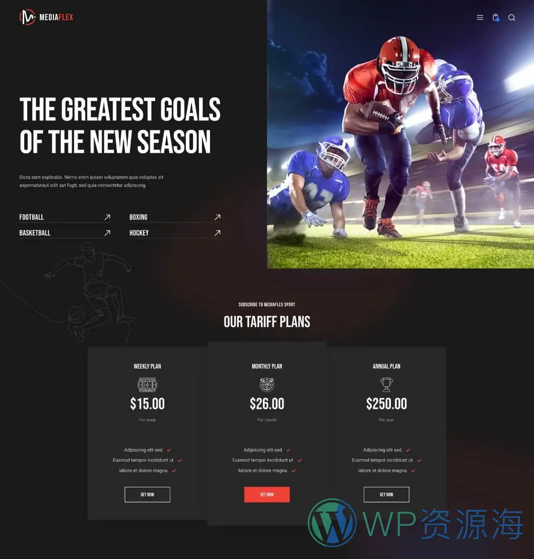 MediaFlex-电视剧集音乐播客流媒体网站模板WordPress主题插图5-WP资源海