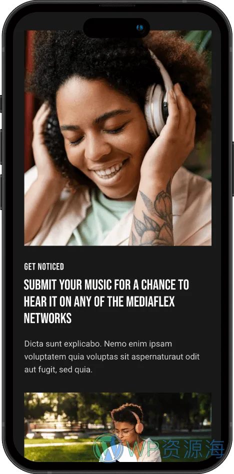 MediaFlex-电视剧集音乐播客流媒体网站模板WordPress主题插图16-WP资源海