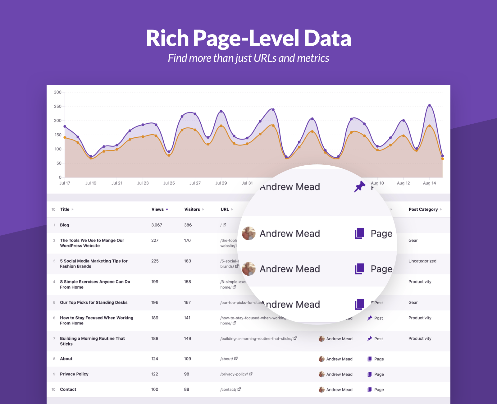 Independent Analytics Pro-网站用户统计与流量分析WordPress插件图片1