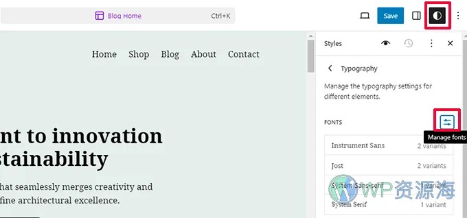 Managing fonts library in WordPress 6.5