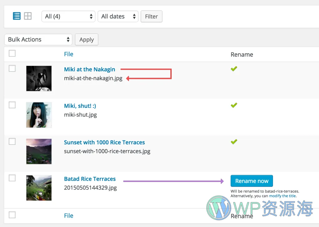 Media File Renamer Pro-图片与媒体库文件批量重命名WordPress插件插图5-WP资源海