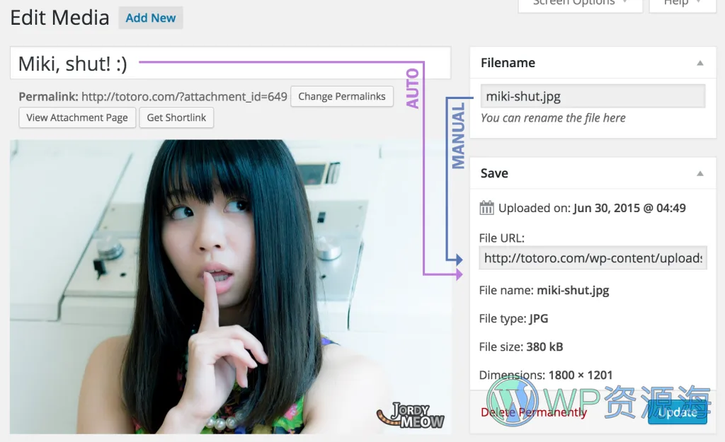 Media File Renamer Pro-图片与媒体库文件批量重命名WordPress插件插图4-WP资源海
