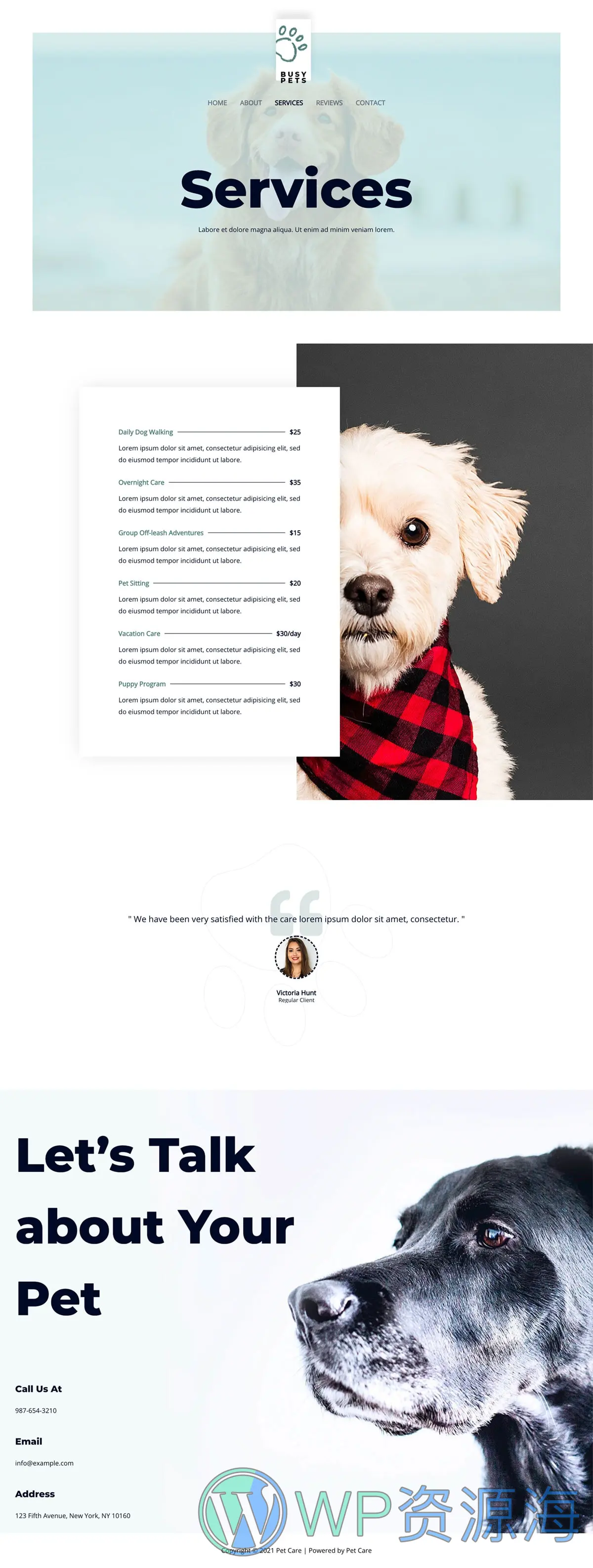 整站模板_宠物护理宠物救助医院网站成品模板_一键导入式快速建站模板插图4-WordPress资源海