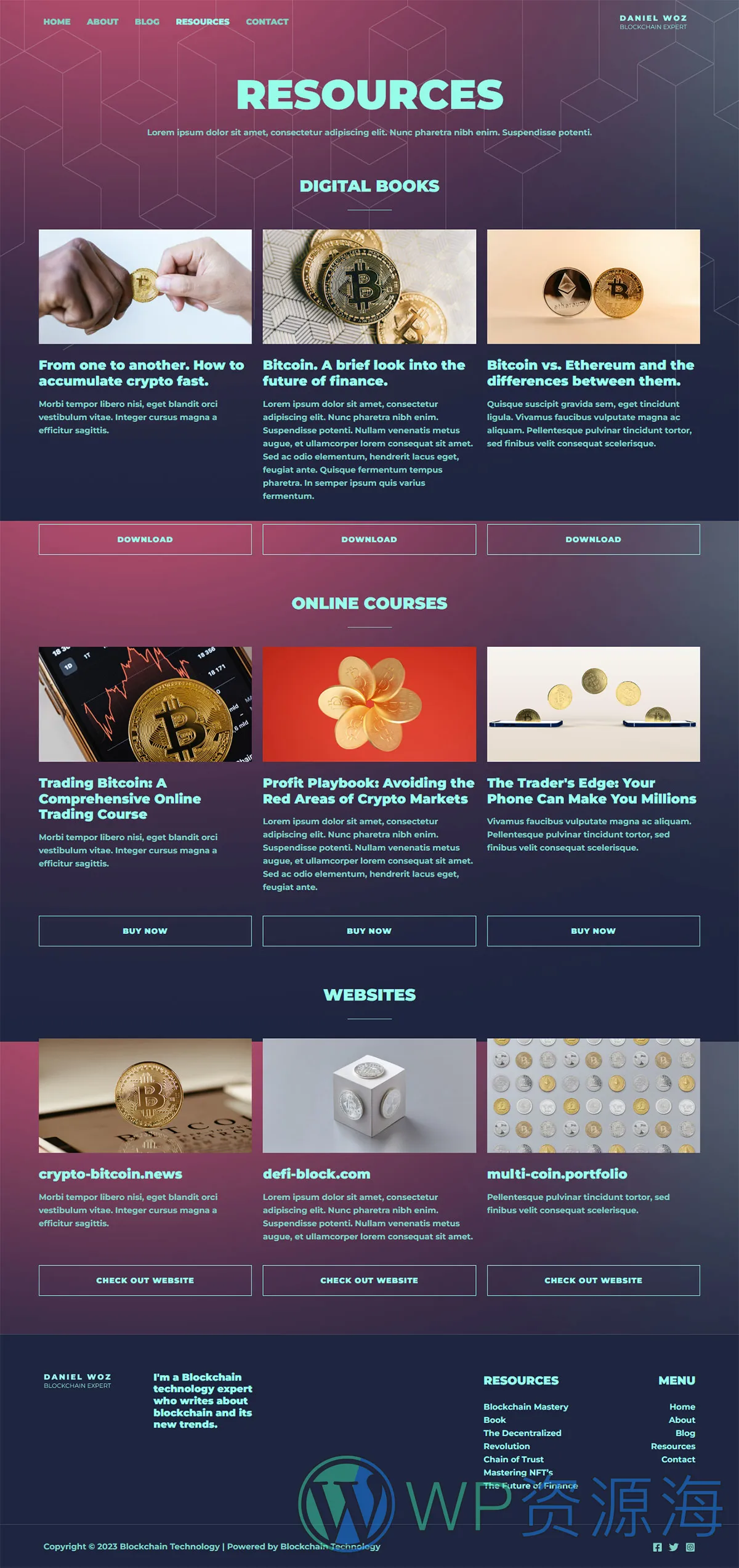 整站模板_区块链技术加密货币公司网站成品模板_一键导入式快速建站模板插图2-WP资源海