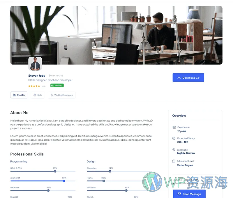 JobBox 招聘求职找工作网站模板WordPress主题插图12-WP资源海