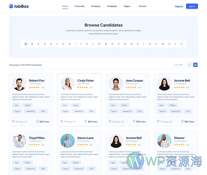 JobBox 招聘求职找工作网站模板WordPress主题插图11-WP资源海