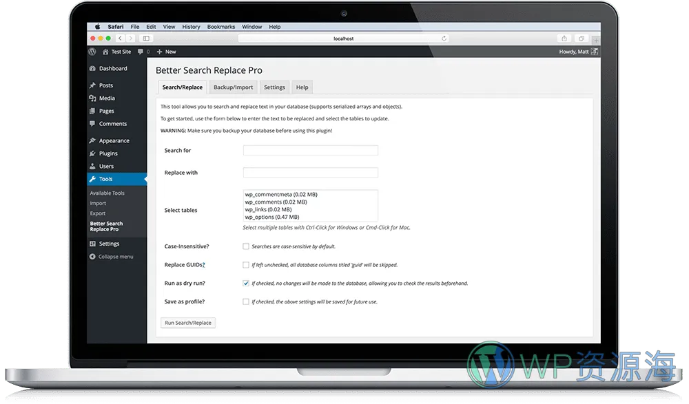 Better Search Replace Pro-超好用的WordPress数据库搜索替换插件插图5-WP资源海