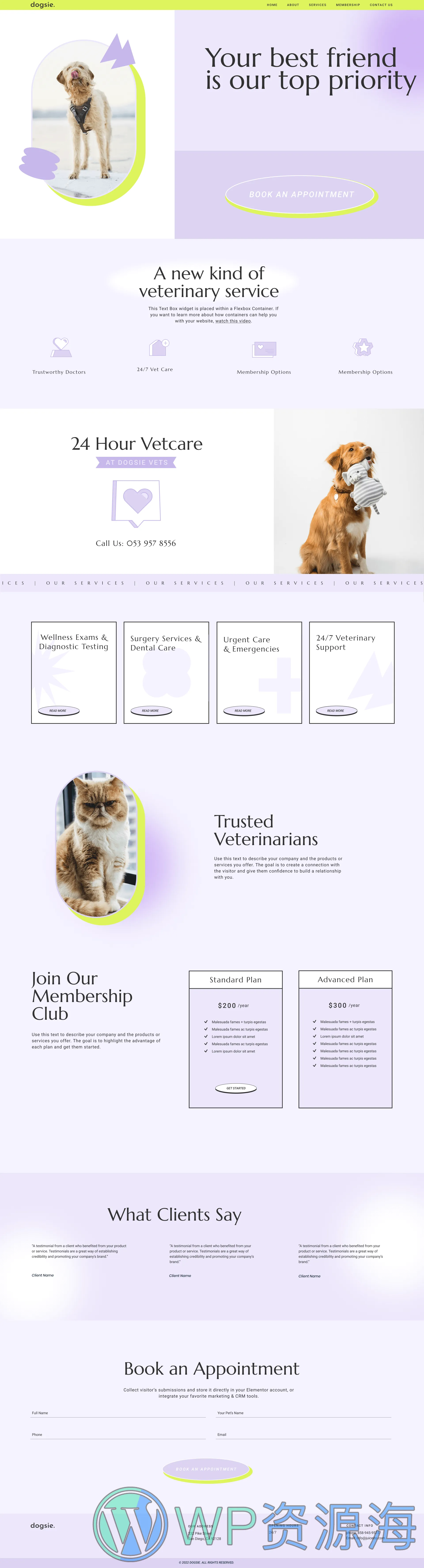 宠物诊所动物医院宠物服务中心网站成品模板_一键导入式快速建站模板插图-WordPress资源海