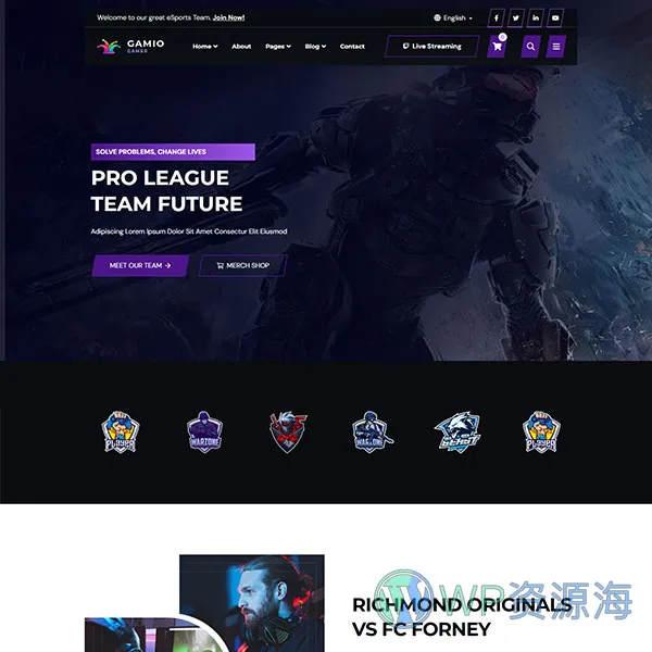 Gamio-2024最新炫酷风游戏电竞网站HTML模板插图1-WP资源海