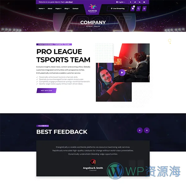 Gamio-2024最新炫酷风游戏电竞网站HTML模板插图4-WP资源海