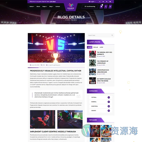 Gamio-2024最新炫酷风游戏电竞网站HTML模板插图5-WP资源海