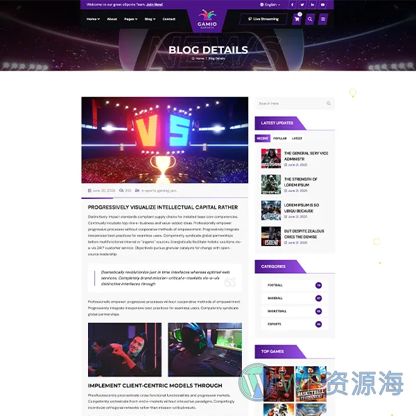 Gamio-2024最新炫酷风游戏电竞网站HTML模板插图5-WordPress资源海