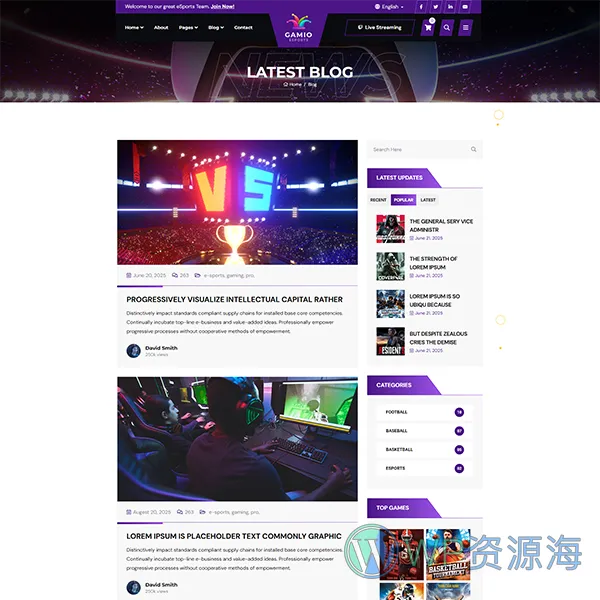 Gamio-2024最新炫酷风游戏电竞网站HTML模板插图6-WP资源海