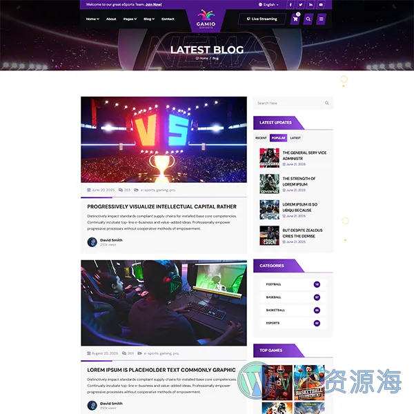 Gamio-2024最新炫酷风游戏电竞网站HTML模板插图6-WordPress资源海