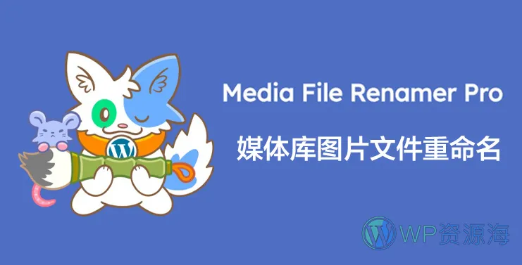 Media File Renamer Pro-图片与媒体库文件批量重命名WordPress插件插图-WP资源海
