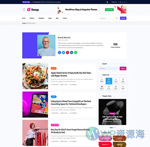 Benqu-新闻杂志博客网站模板WordPress主题[更至v1.1.4]插图9-WP资源海