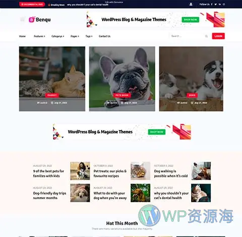 Benqu-新闻杂志博客网站模板WordPress主题[更至v1.1.4]插图6-WP资源海