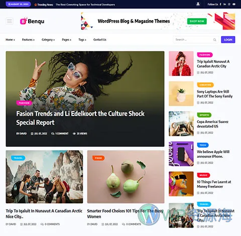 Benqu-新闻杂志博客网站模板WordPress主题[更至v1.1.4]插图2-WP资源海