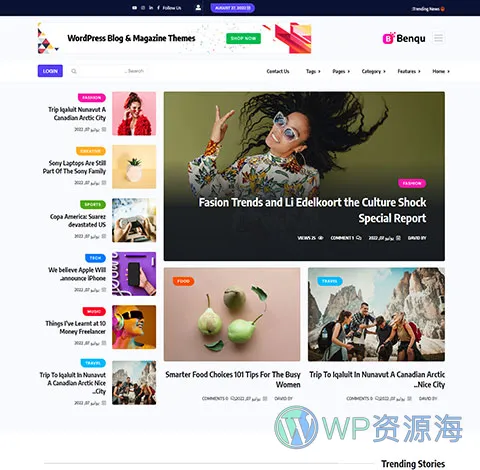 Benqu-新闻杂志博客网站模板WordPress主题[更至v1.1.2]插图16-WordPress资源海