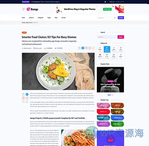 Benqu-新闻杂志博客网站模板WordPress主题[更至v1.1.4]插图19-WP资源海