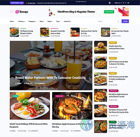 Benqu-新闻杂志博客网站模板WordPress主题[更至v1.1.2]插图3-WordPress资源海