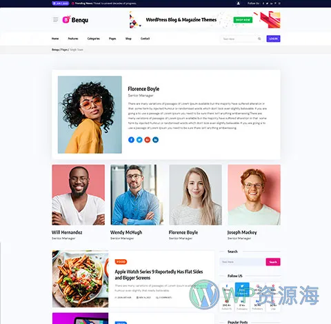 Benqu-新闻杂志博客网站模板WordPress主题[更至v1.1.4]插图20-WP资源海