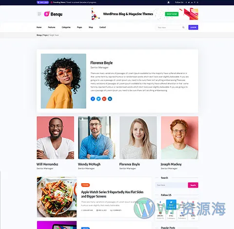 Benqu-新闻杂志博客网站模板WordPress主题[更至v1.1.2]插图20-WordPress资源海