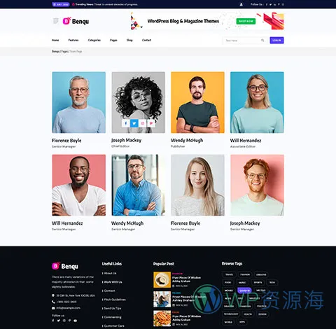 Benqu-新闻杂志博客网站模板WordPress主题[更至v1.1.4]插图21-WP资源海