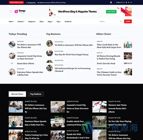 Benqu-新闻杂志博客网站模板WordPress主题[更至v1.1.4]插图14-WP资源海