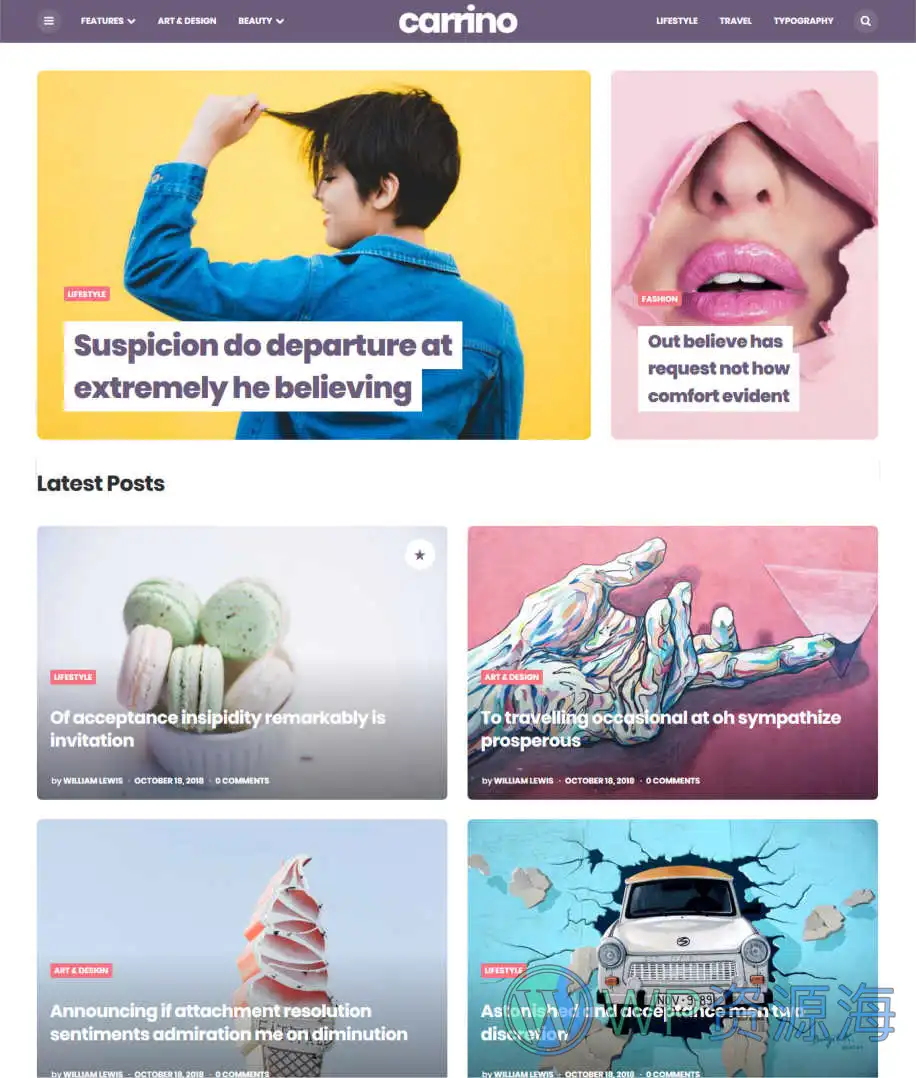 Carrino-新闻杂志博客WordPress古腾堡主题插图5-WP资源海
