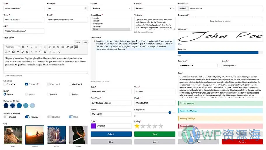 WS Form Pro-功能超强大的WordPress表单插件插图14-WP资源海
