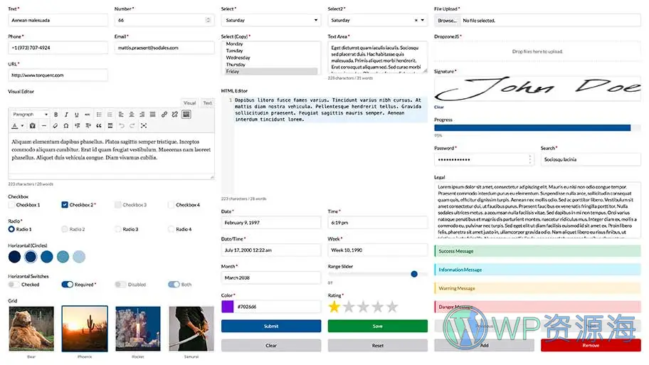 WS Form Pro-功能超强大的WordPress表单插件[更至v1.9.196]插图13-WordPress资源海
