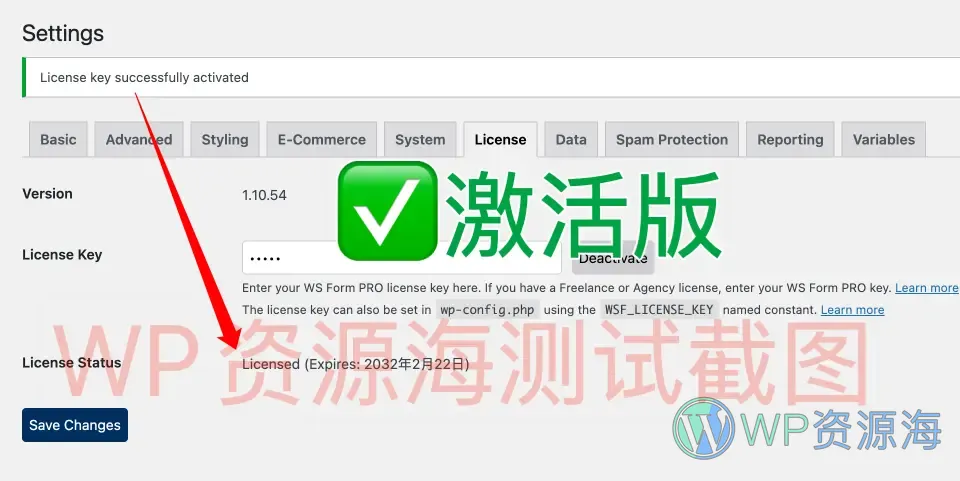 WS Form Pro-功能超强大的WordPress表单插件插图1-WP资源海