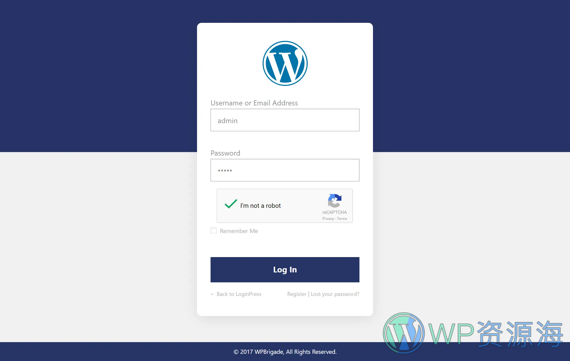 LoginPress Pro-登录页面设计与管理WordPress插件[更至v3.1.2]插图26-WordPress资源海
