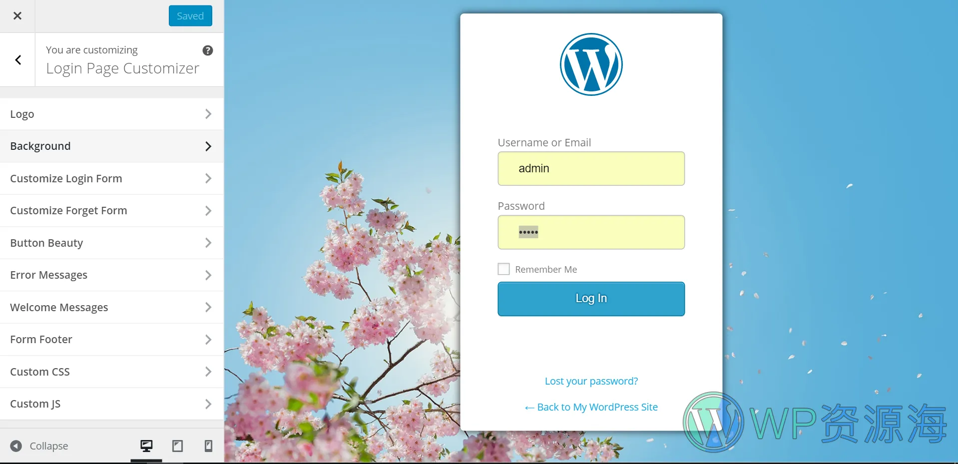 LoginPress Pro-登录页面设计与管理WordPress插件插图4-WP资源海