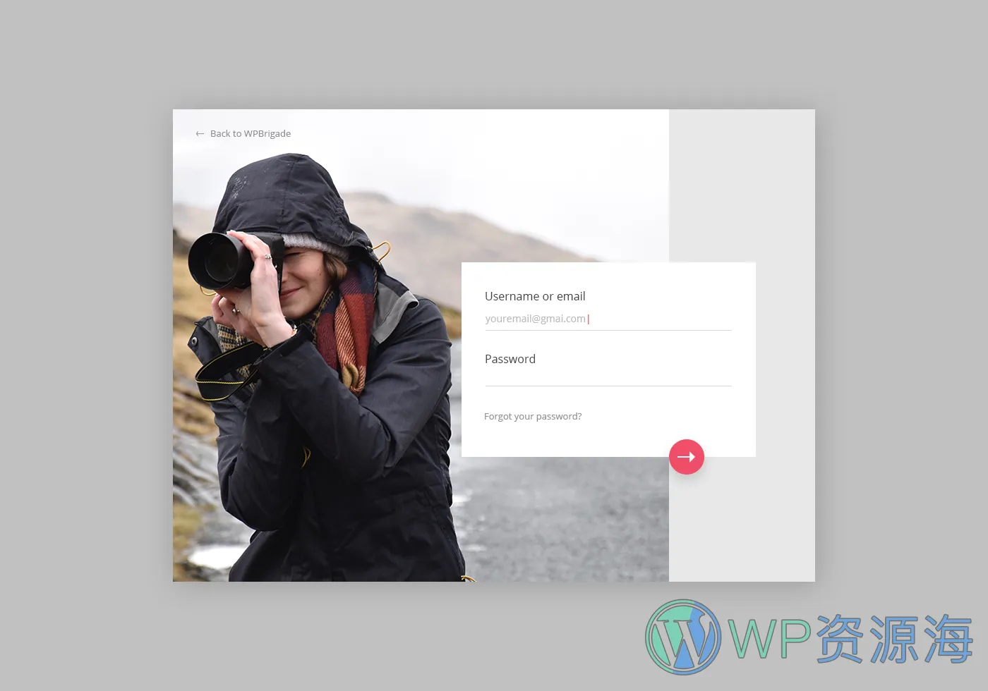 LoginPress Pro-登录页面设计与管理WordPress插件插图25-WP资源海