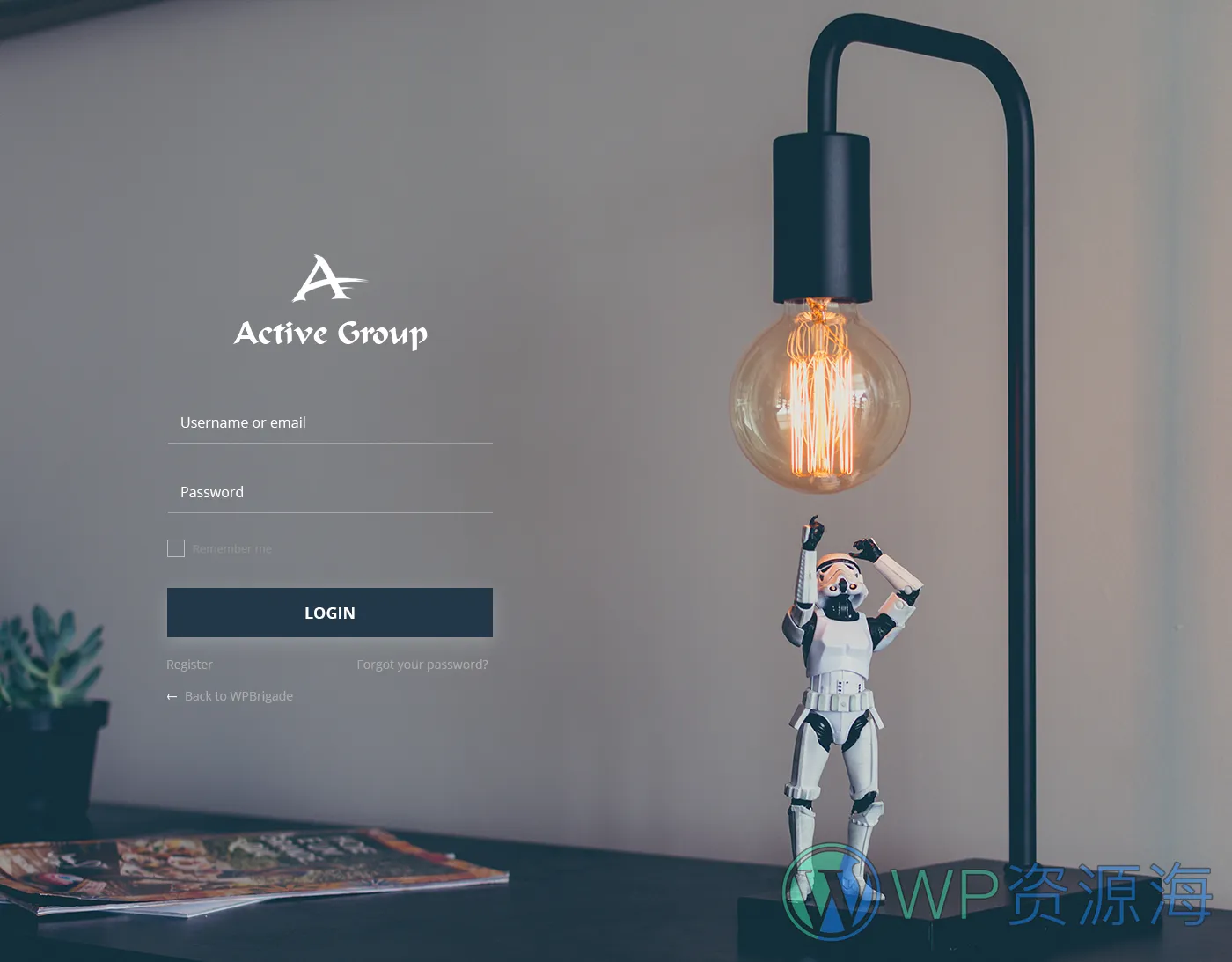LoginPress Pro-登录页面设计与管理WordPress插件[更至v3.1.2]插图24-WordPress资源海