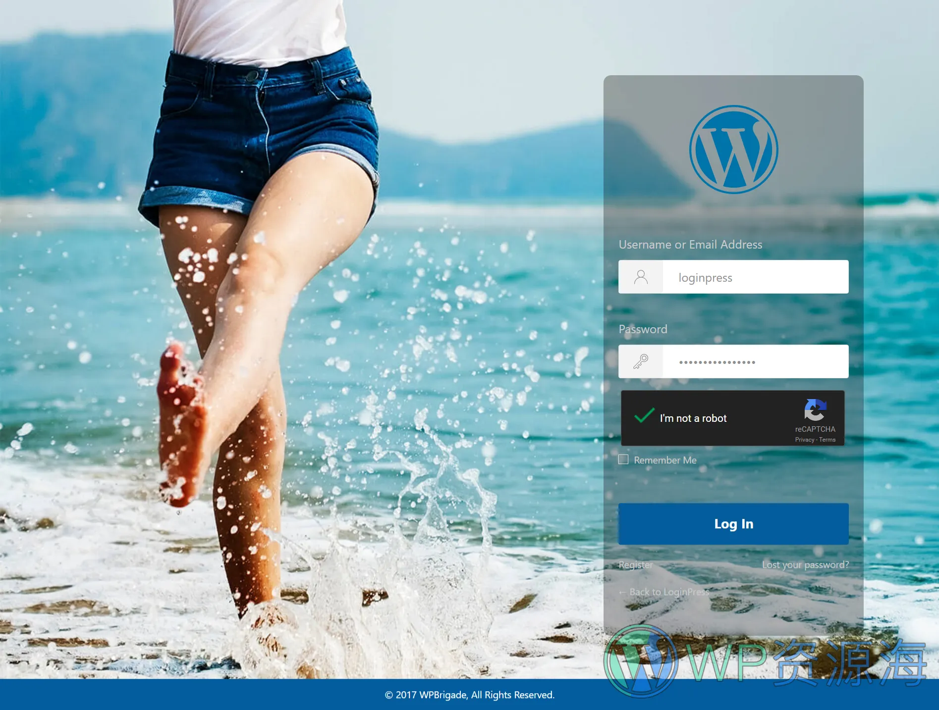 LoginPress Pro-登录页面设计与管理WordPress插件插图21-WP资源海