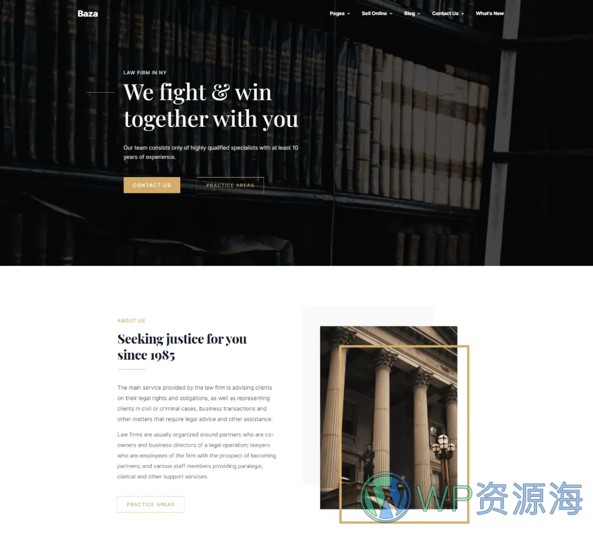 Baza-漂亮多用途3D插画风WordPress主题插图8-WP资源海 Baza-漂亮多用途3D插画风WordPress主题插图8-WP资源海