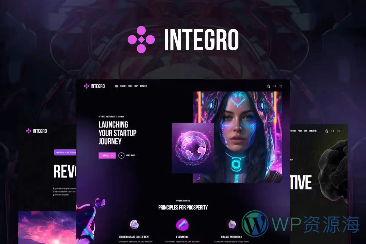 integro-设计绘画IT科技公司网站模板WordPress主题[更至v1.5]插图-WordPress资源海
