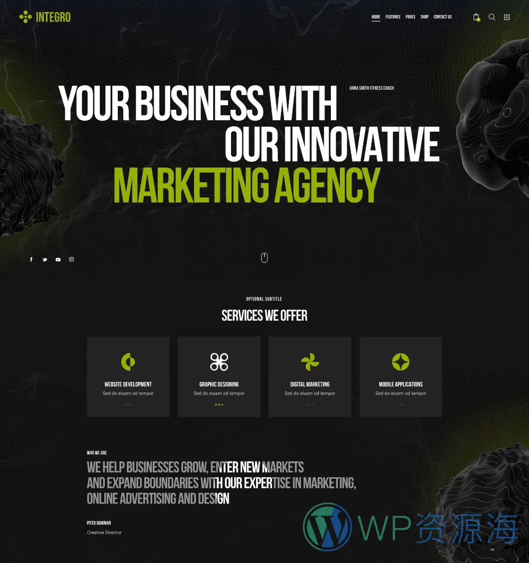 Integro-设计绘画IT科技公司网站模板WordPress主题插图2-WP资源海