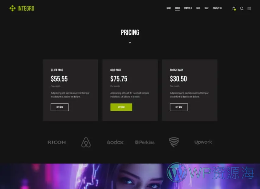 Integro-设计绘画IT科技公司网站模板WordPress主题插图17-WP资源海