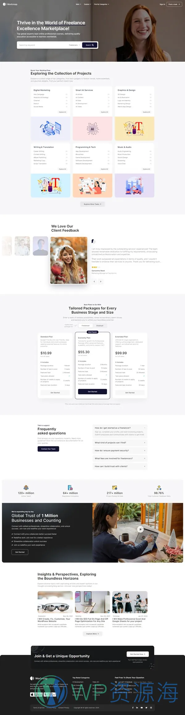 Workreap-求职招聘找工作网站模板WordPress主题插图10-WP资源海