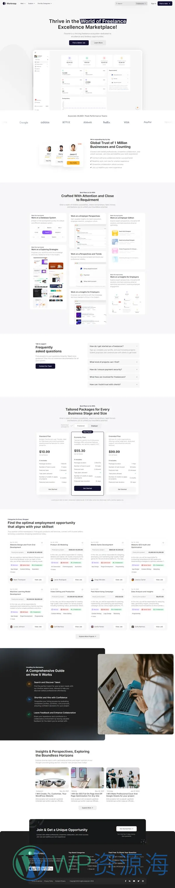 Workreap-求职招聘找工作网站模板WordPress主题插图13-WP资源海